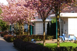 Alfred-Randt-Straße 25-35